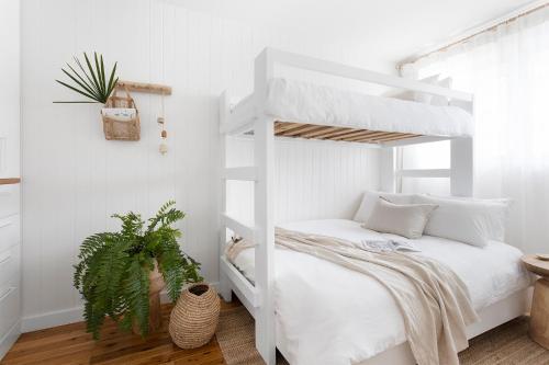 a bedroom with a white bunk bed and a plant at Crystal Pacific Palm Beach in Gold Coast
