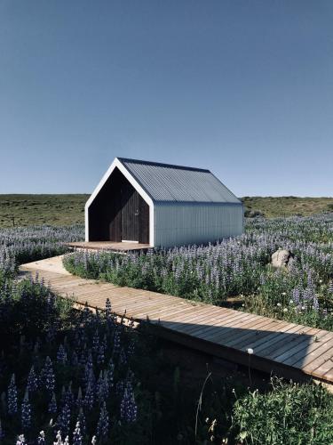 a building in a field of purple flowers at iStay Cottages in Sandgerði