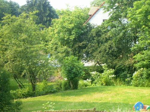 a yard with trees and a house in the background at Waldpension zum Felsenkeller in Lichtenfels-Sachsenberg
