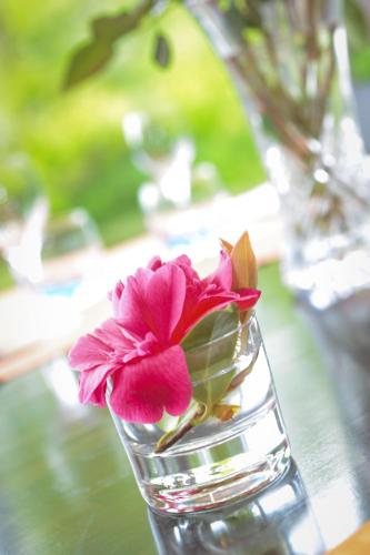 クタンスにあるHôtel Cositel, CIT'HOTEL Coutancesのテーブルの上に置かれたガラスの花瓶のピンクの花