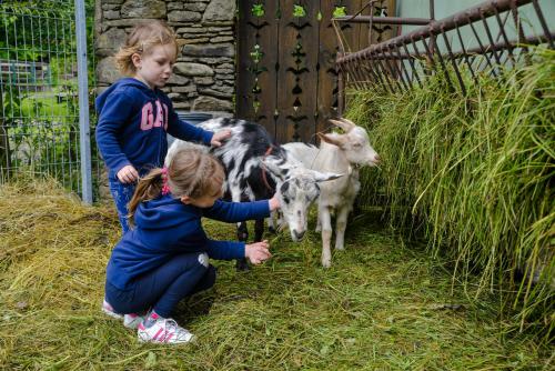 Kanak-kanak yang menginap di Farma Lama Dom Gościnny