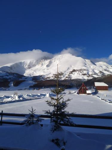 a snow covered mountain with a house and a tree at Guest house Holiday in Žabljak