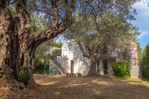 a house with trees in front of it at Apartments Oliva in Utjeha