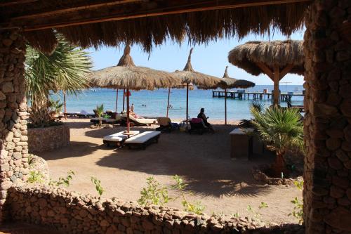 Blick auf einen Strand mit Sonnenschirmen und das Meer in der Unterkunft Sunshine Divers Club - Il Porto in Sharm El Sheikh