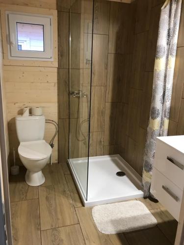 a bathroom with a toilet and a glass shower at Domek letniskowy u Izy in Łeba