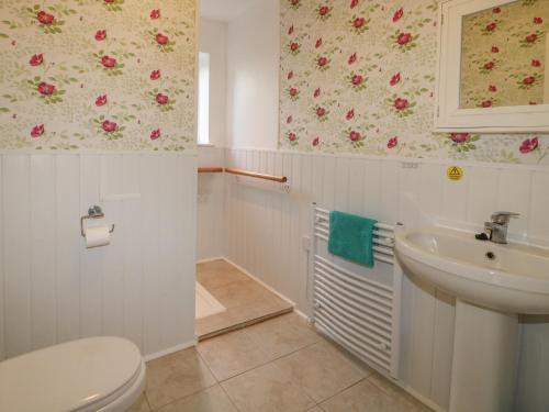 a bathroom with a toilet and a sink at Clovermead Cottage in Willington