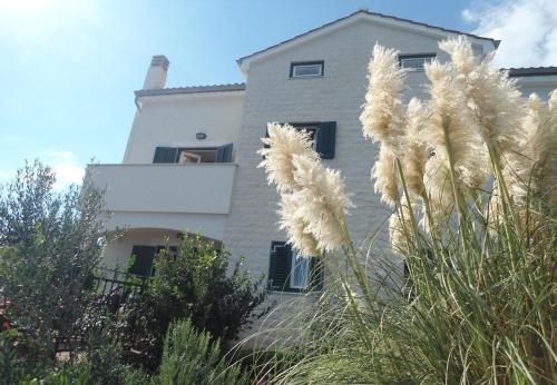 een wit huis met planten ervoor bij Apartments Azur - 10 m from sea in Ilovik