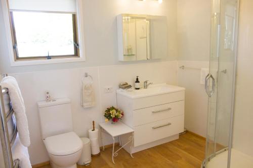 a bathroom with a toilet and a sink at Magnolia House in Blenheim