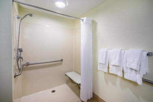 uma casa de banho com chuveiro e toalhas brancas em Holiday Inn Express Hotel & Suites-North East, an IHG Hotel em North East