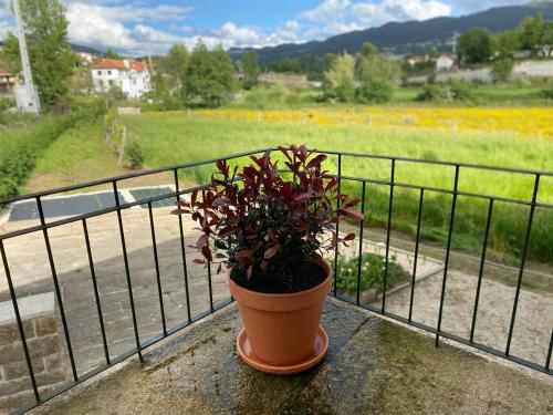 eine Topfpflanze, die auf dem Vorsprung eines Balkons sitzt in der Unterkunft Quinta do Arieiro in Arouca