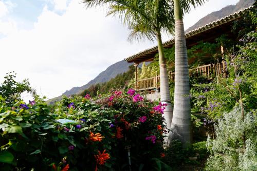 einen Garten mit Blumen und Palmen und ein Haus in der Unterkunft Rivendell, The Moon's Cradle in El Paso