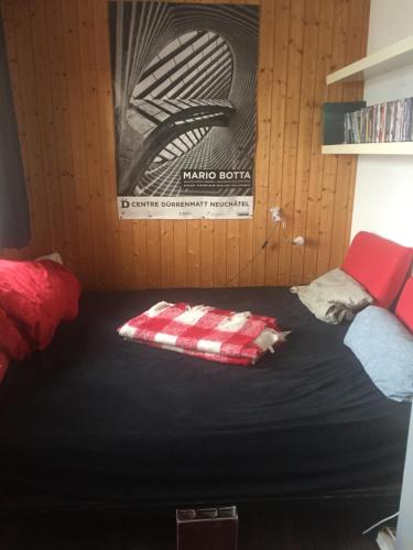 Un pat sau paturi într-o cameră la Petit Appart de Charme Eau chaude solaire Rénovation 2021 Wifi disponible Belvedere 5