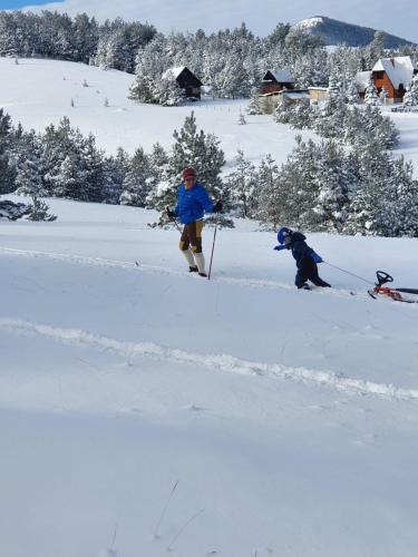 a person on skis in the snow at Villa Ducic in Zlatibor