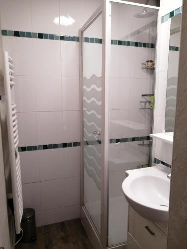 une salle de bain avec douche et lavabo dans l'établissement Appt 43 m2 Station Auris en Oisans - Alpes d huez, à Auris
