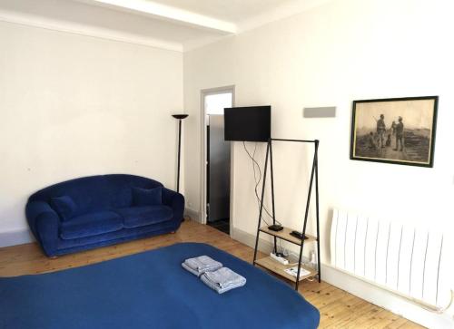 - un salon avec un canapé bleu et un tapis bleu dans l'établissement Appartement COEUR THERMAL proche Opéra, Casino, à Vichy