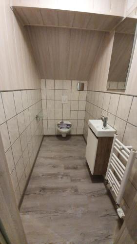 a bathroom with a toilet and a sink at AMW Ferienwohnungen in Legau