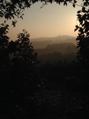a view from the forest at sunset at Villa Bricco dei Cogni in La Morra