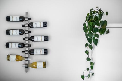 a wall mounted wine bottle rack with a plant at Apartmán Ema Dolní Dunajovice in Dolní Dunajovice