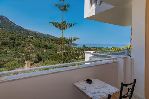 a view from a balcony of a balcony overlooking the ocean at Matilda Hotel in Vasilikos