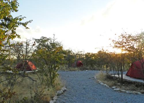 Gambar di galeri bagi Etosha Village Campsite di Okaukuejo