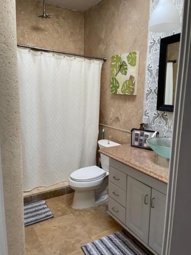 een badkamer met een toilet, een wastafel en een douche bij Ne Miami Cottage in Miami