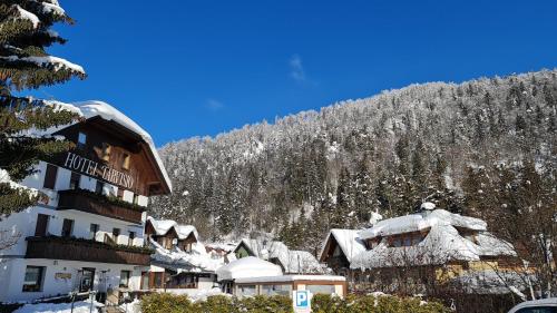 a hotel with snow covered mountains in the background at Hotel Tarvisio Four Seasons in Tarvisio