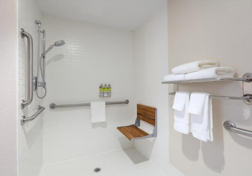 Bilik mandi di Holiday Inn Express & Suites - Austin - Round Rock by IHG