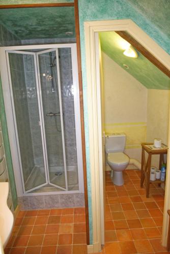 une salle de bain avec toilettes et douche en verre dans l'établissement Chambre d'hotes Au Vieux Moulin, à Clohars-Carnoët