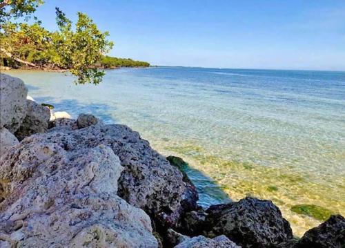 a group of rocks on a beach near the water at SEA MIST - Oceanfront-Lake-Kayak-Paddleboard-Bike in Key Largo