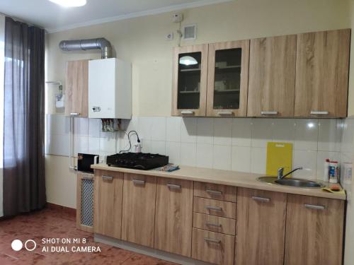 una cocina con armarios de madera y fregadero en Apartments Domovik "Elegance" en Mukacheve