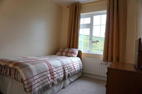 a bedroom with a bed and a window with a horse outside at Meenadreen Cottage in Donegal
