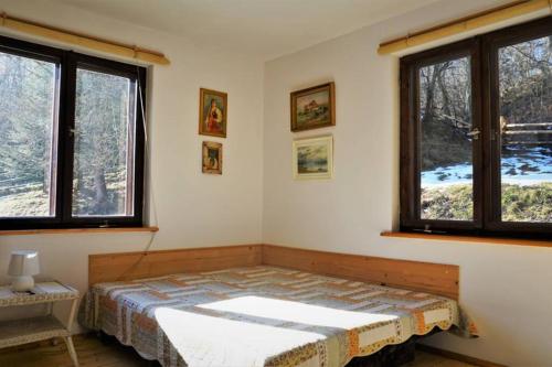 - une chambre avec un lit et 2 fenêtres dans l'établissement Dom w Uhryniu, à Uhryń