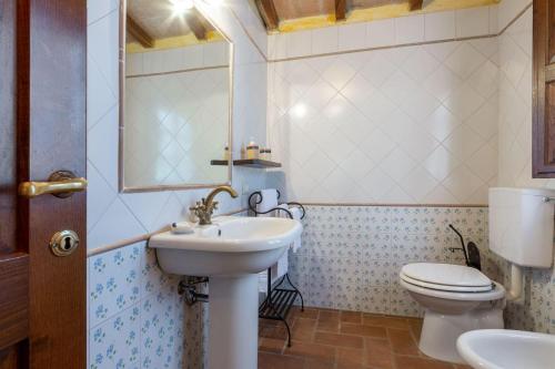 uma casa de banho com um lavatório e um WC em Letizia em Roccalbegna