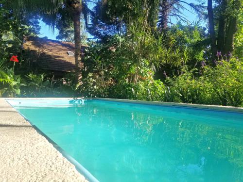 a swimming pool with blue water and trees at Rosalia Suites in Loma Hermosa