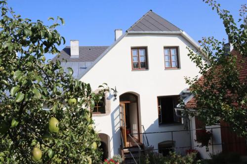 a white house with trees in front of it at Penzion-apartmán Souček in Jindrichuv Hradec
