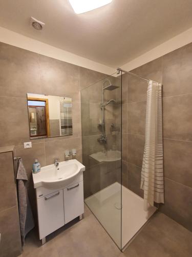 W łazience znajduje się szklana kabina prysznicowa i umywalka. w obiekcie Penzion u Buba w mieście Ostrov nad Oslavou
