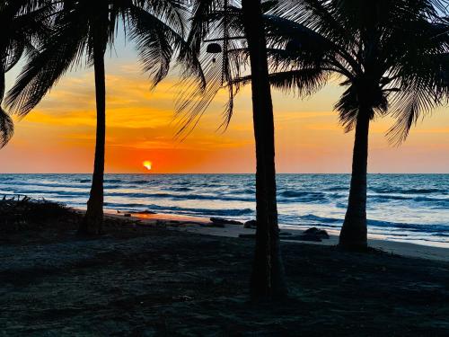 a sunset over the ocean with palm trees on the beach at Playa Jaguar - Beach Club in Moñitos