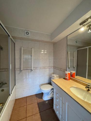 La salle de bains est pourvue de toilettes et d'un lavabo. dans l'établissement Apart Hotel Sol y Lago, à Pucón