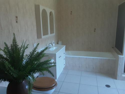 a bathroom with a toilet and a sink and a tub at Banya Bliss - Guest House in Bongaree