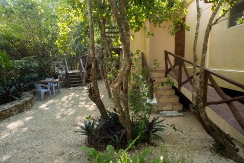 a garden with a tree and a wooden fence at Bungalow Bé La Kin in Cozumel