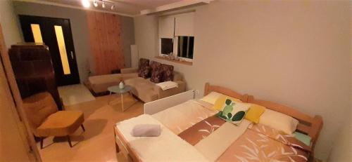 - un salon avec un canapé et une table dans l'établissement OLOR Apartman 2 - Banoštor, à Banoštor