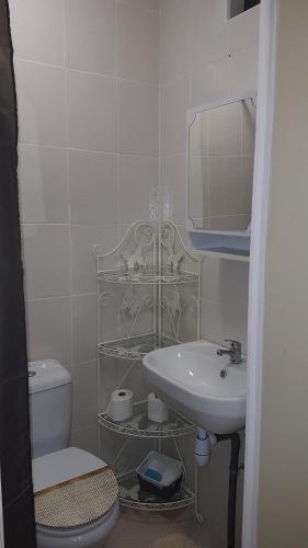 ein Badezimmer mit einem Waschbecken, einem WC und einem Spiegel in der Unterkunft MAGNIFIQUE STUDIO in Saint-Just-Sauvage