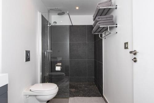 a bathroom with a shower with a toilet and a sink at Grand Case Bleu Marine Sea Side in Grand Case