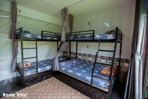 a couple of bunk beds in a room at Rosie Villa Ha Giang - Motorbikerental & Tour in Ha Giang