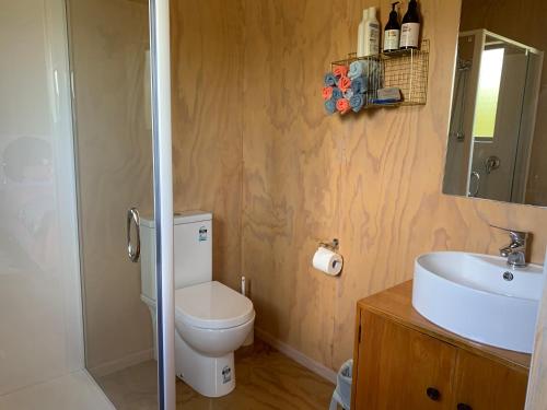 a bathroom with a toilet and a sink and a shower at Fallow Hut in Masterton