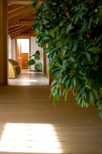 a hallway with a plant in the middle of a building at Agriturismo Al Casale in Codroipo