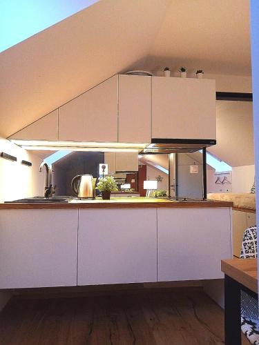 Kuchyň nebo kuchyňský kout v ubytování Brunetti Apartmány Jeseníky