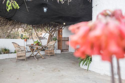 Αίθριο ή υπαίθριος χώρος στο Finca Carrillo