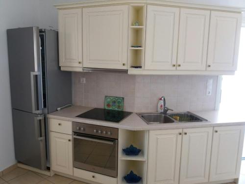 Dapur atau dapur kecil di Agiassos Naxos Apartments