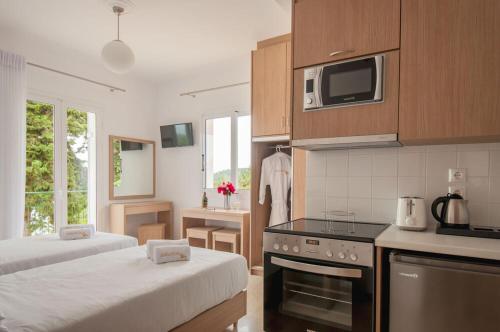 Gallery image of Studios Angeliki in Lassi